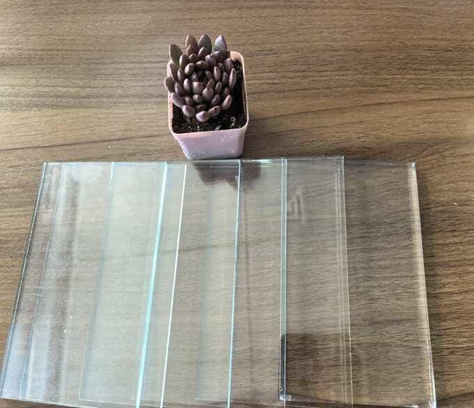 Clear,Tinted Float Glass and Reflective Glass